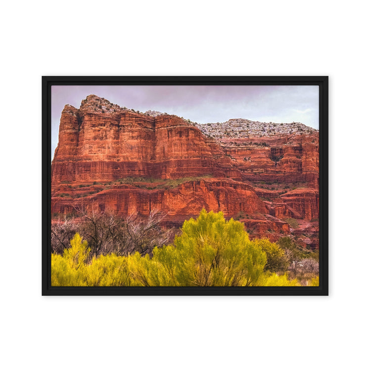 Framed Canvas