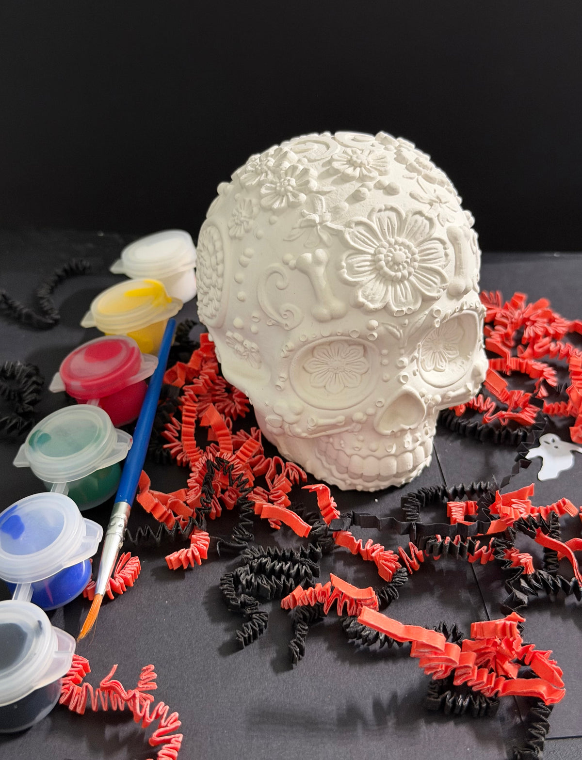 Day of the Dead 3D Skull Halloween Paint Kit